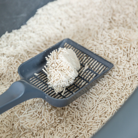 Биораградима котешка постелка от тофу Trixie Tofu Cat Litter бързо слепваща и неутрализираща миризмите